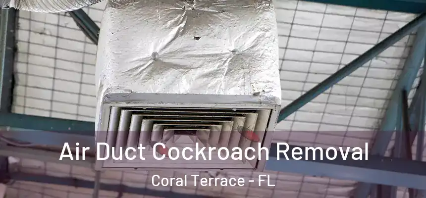 Air Duct Cockroach Removal Coral Terrace - FL