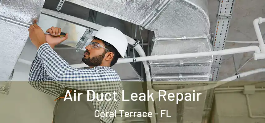 Air Duct Leak Repair Coral Terrace - FL