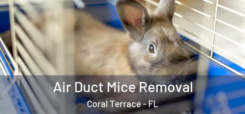 Air Duct Mice Removal Coral Terrace - FL