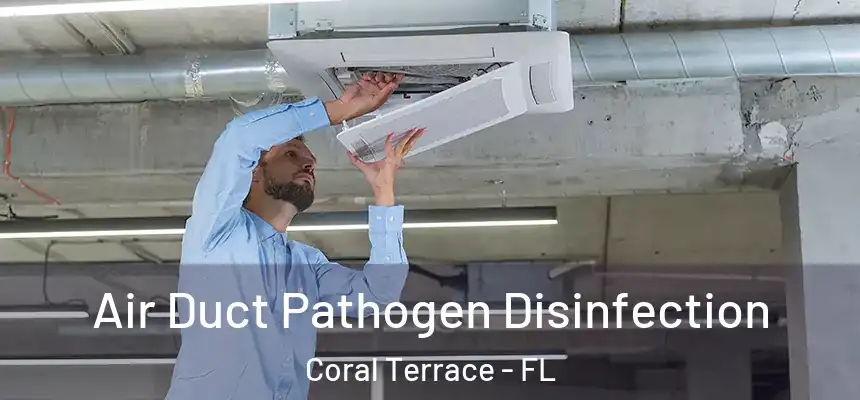 Air Duct Pathogen Disinfection Coral Terrace - FL