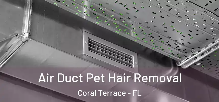 Air Duct Pet Hair Removal Coral Terrace - FL