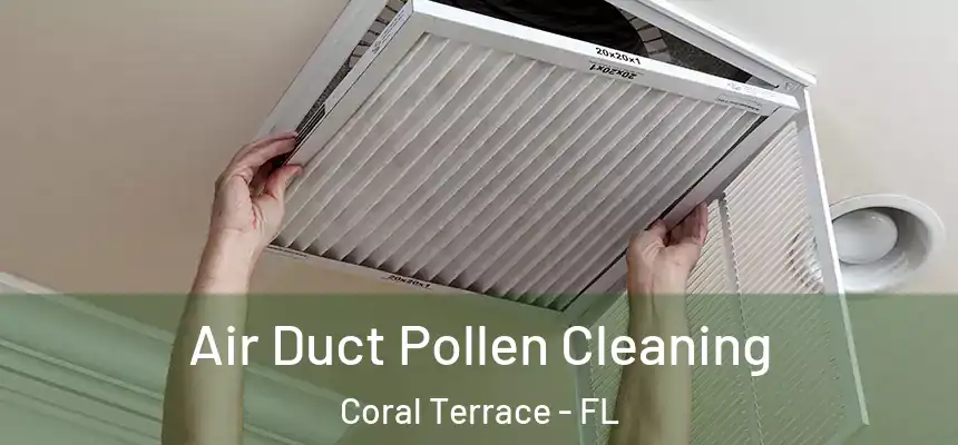 Air Duct Pollen Cleaning Coral Terrace - FL