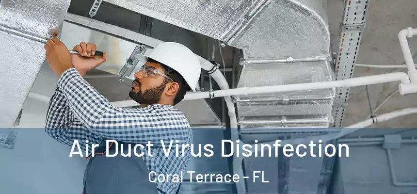 Air Duct Virus Disinfection Coral Terrace - FL