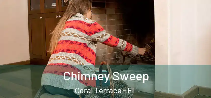Chimney Sweep Coral Terrace - FL