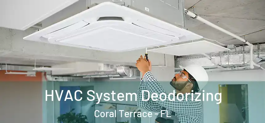HVAC System Deodorizing Coral Terrace - FL