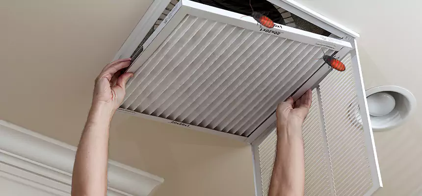 Preventive Cockroach-Proofing for Ducts in Coral Terrace