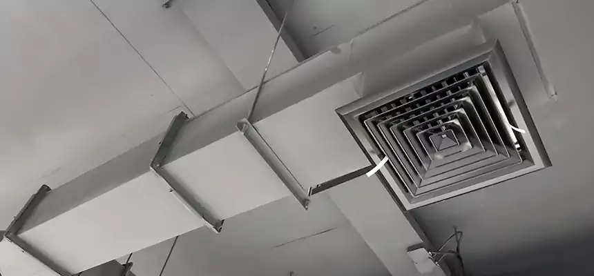 Our Rodent Droppings In Vents Services in Coral Terrace, FL