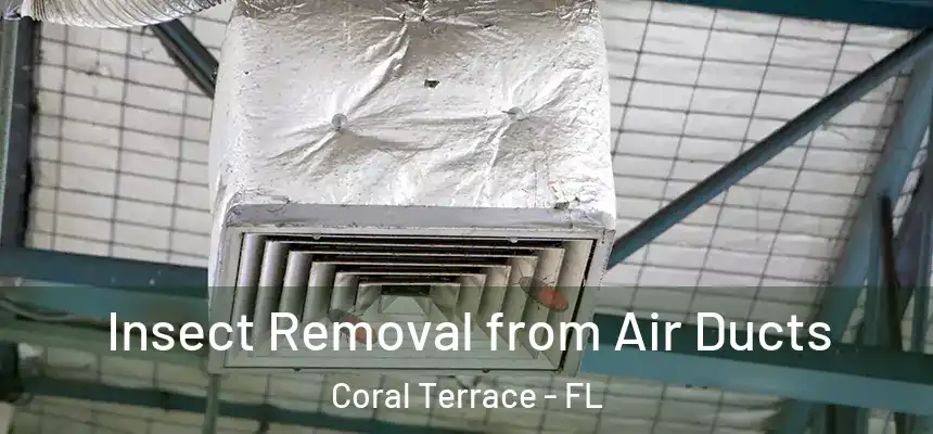 Insect Removal from Air Ducts Coral Terrace - FL