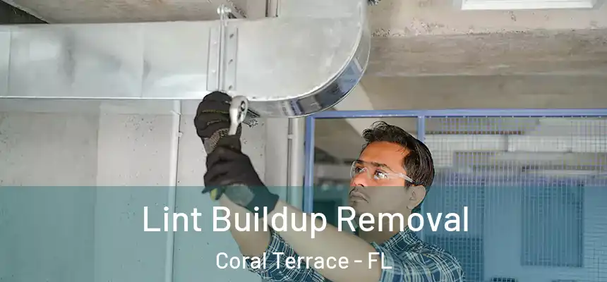 Lint Buildup Removal Coral Terrace - FL