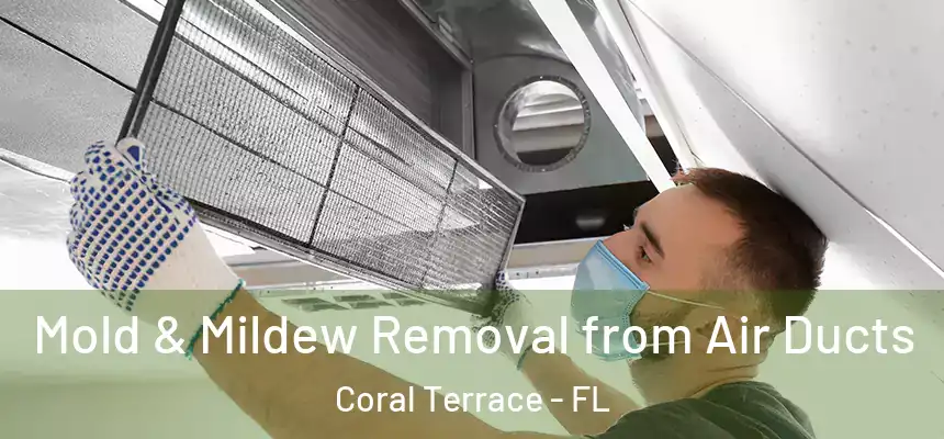 Mold & Mildew Removal from Air Ducts Coral Terrace - FL