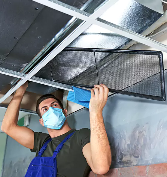 About Air Duct Bacteria Removal in Coral Terrace