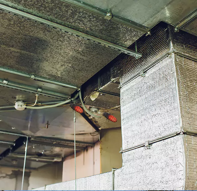 Why Homeowners & Businesses Trust Us in Coral Terrace, FL?