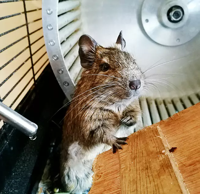 Why Homeowners & Businesses Trust Us Coral Terrace, FL