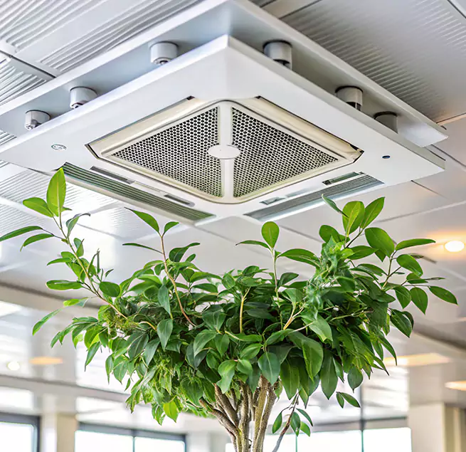 Why Homeowners & Businesses Trust Us in Coral Terrace, FL?