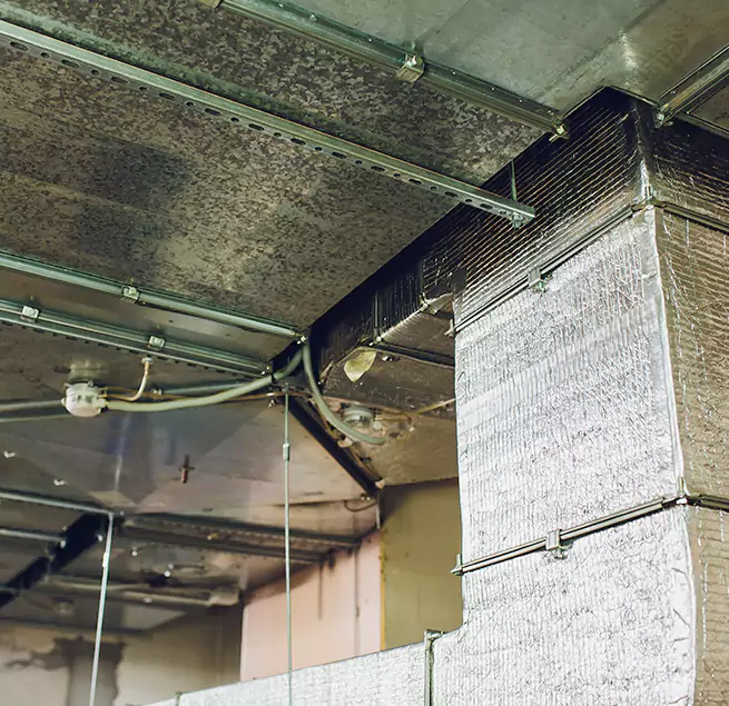 Why Homeowners & Businesses Trust Us in Coral Terrace, FL?